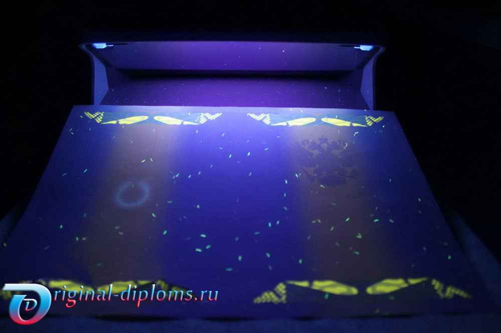 Мы расскажем, как проверить подлинность диплома об образовании